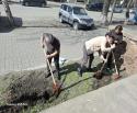 2025 жылғы 07 сәуірден бастап 13 сәуір аралығында «Кеме қатынасының тіркелімі» филиалындағы  іс-шаралар жоспарын орындау туралы есеп