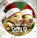 Поздравление РГКП «Қазақстан су жолдары» с Новым 2019 годом