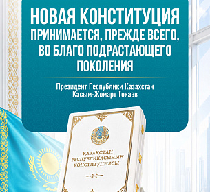 Конституция4